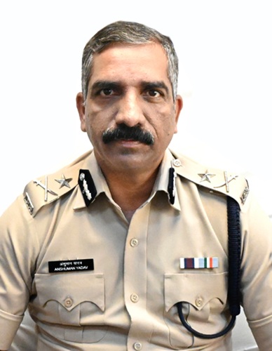 Image Here